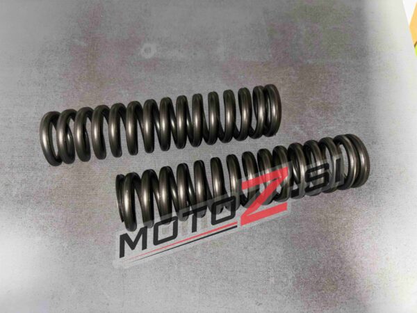 Vzmeti za obnovo zadnjih amortizerjev